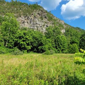 Photo #2 of Off Elwood Dr - Lot 26, Hot Springs, VA 0.8 acres