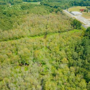 Photo #16 of Off Buck Swamp Road, Pikeville, NC 30.5 acres