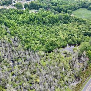 Photo #27 of Off Buck Swamp Road, Pikeville, NC 30.5 acres