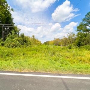 Photo #31 of Off Buck Swamp Road, Pikeville, NC 30.5 acres