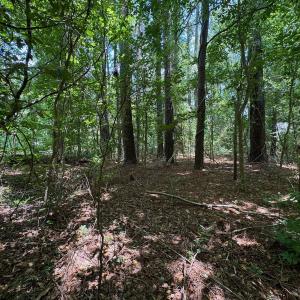 Photo #13 of 2910 Hills Neck Road, Ernul, NC 1.9 acres