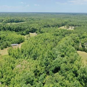Photo #16 of 2910 Hills Neck Road, Ernul, NC 1.9 acres