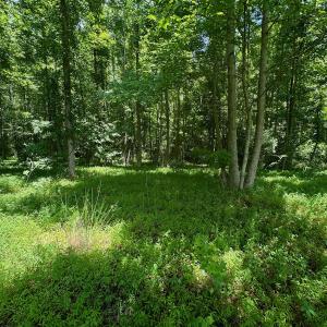Photo #7 of 2910 Hills Neck Road, Ernul, NC 1.9 acres