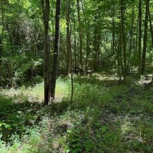 Photo #51 of 2910 Hills Neck Road, Ernul, NC 1.9 acres