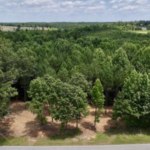 Photo #12 of 8 Peachtree Hills Road, Spring Hope, NC 11.0 acres