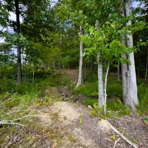 Photo #18 of Off Townsville Road - Lot 4B, Bullock, NC 18.8 acres