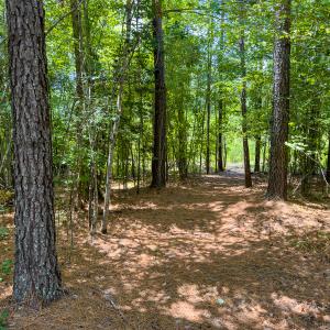 Photo #27 of Off Townsville Road - Lot 4B, Bullock, NC 18.8 acres