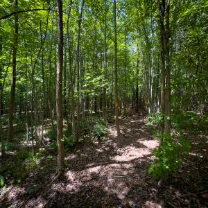 Photo #36 of Off Townsville Road - Lot 4B, Bullock, NC 18.8 acres