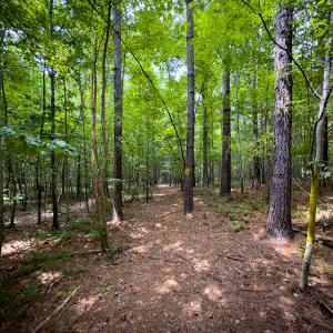 Photo #38 of Off Townsville Road - Lot 4B, Bullock, NC 18.8 acres