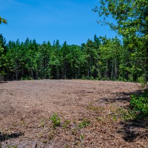 Photo #25 of Off McLean Chapel Church Rd, Bunnlevel, NC 37.4 acres