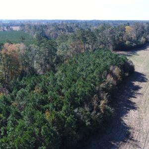 Photo of UNDER CONTRACT!  23 Acres of Farm and Timber Land For Sale in Sampson County NC!
