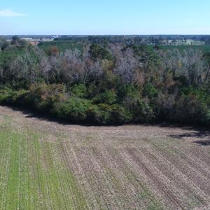 Photo of UNDER CONTRACT!  23 Acres of Farm and Timber Land For Sale in Sampson County NC!