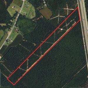 Photo of UNDER CONTRACT!  28 Acres of Hunting Land For Sale in Pender County NC!