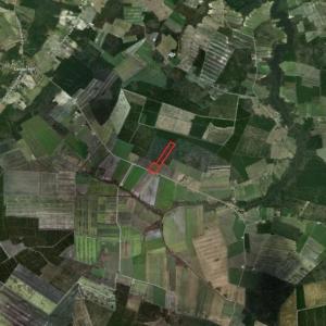 Photo of SOLD!  25 Acres of Farm and Timber Land For Sale in Perquimans County NC!
