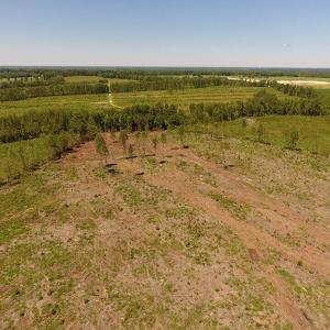 Photo of UNDER CONTRACT!  165 Acres of Farm and Hunting Land For Sale in Suffolk VA!
