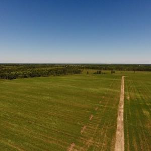Photo of UNDER CONTRACT!  165 Acres of Farm and Hunting Land For Sale in Suffolk VA!