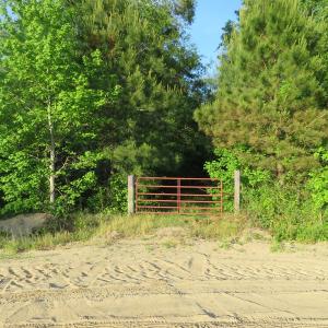 Photo of UNDER CONTRACT!  65 Acres of Hunting Land For Sale in Robeson County NC!