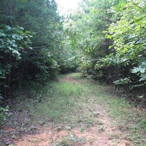 Photo of SOLD!  81.57 Acres of Prime Hunting and Investment Land For Sale in Rockingham County NC!