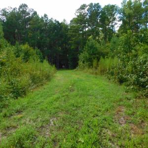 Photo of PENDING!  57.3 Acres of Timber and Farm Land For Sale in Wilson County NC!