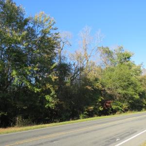 Photo of UNDER CONTRACT!  52 Acres of Hunting and Timber Land For Sale in Robeson County NC!