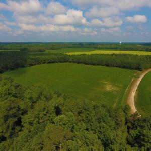 Photo of UNDER CONTRACT!  347.8 Acres of Farm and Timber Land For Sale in Wilson County NC!