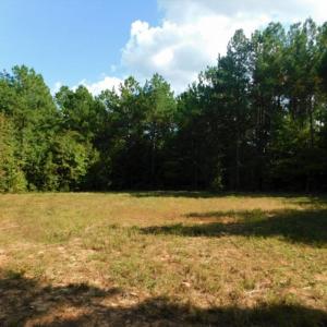 Photo of UNDER CONTRACT!  40.49 Acres of Timber and Hunting Land For Sale in Warren County NC!
