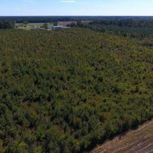 Photo of UNDER CONTRACT!  37.5 Acres of Hunting Land For Sale in Hertford County NC!