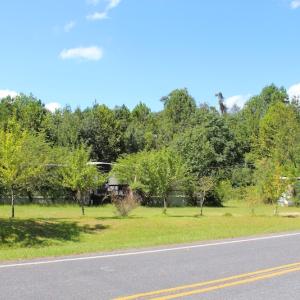 Photo of UNDER CONTRACT!  27.62 Acres of Farm and Timber Land For Sale in Harnett County NC!