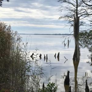 Photo of SOLD!  5.6 Acre Waterfront Lot with Home For Sale in Camden County NC!