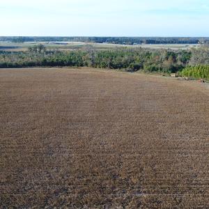 Photo of SOLD!  112 Acres of Farm and Recreational Land For Sale in Robeson County NC!