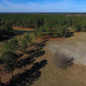 Photo of UNDER CONTRACT!  196.4 Acres of Residential and Timber Land For Sale in Edgecombe County NC!