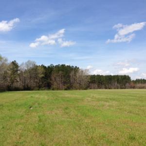 Photo of SOLD!  13 Acres of Farm and Timber Land For Sale in Camden County NC!