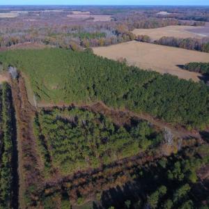 Photo of UNDER CONTRACT!  70.53 Acres of Hunting and Timber Land For Sale in Edgecombe County NC!
