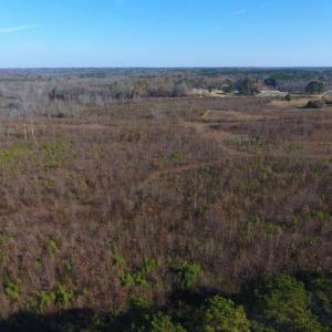 Photo of UNDER CONTRACT!  47.55 Acres of Hunting Land For Sale in Warren County NC!