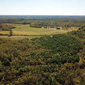 Photo of UNDER CONTRACT!  60 Acres of Farm Timber and Hunting Land For Sale in Pitt County NC!