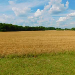 Photo of UNDER CONTRACT!  10.31 Acres of Residential and Farm Land For Sale in Edgecombe County NC!