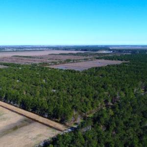Photo of UNDER CONTRACT!  151 Acres of Duck Hunting Land with Home Site in Hyde County NC!