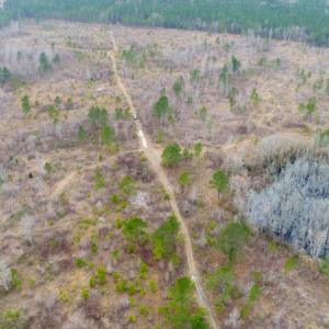 Photo of UNDER CONTRACT!  87 Acres of Hunting and Timber Land For Sale in Harnett County NC!