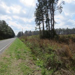 Photo of UNDER CONTRACT!  34.98 Acres of Residential Hunting and Timber Land For Sale in Robeson County NC!