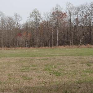Photo of 32 Acres of Farm and Timber Land For Sale in Nash County NC!