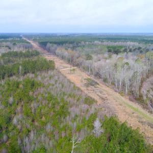 Photo of SOLD!  75.9 Acres of Timber and Hunting Land For Sale in Pamlico County NC!