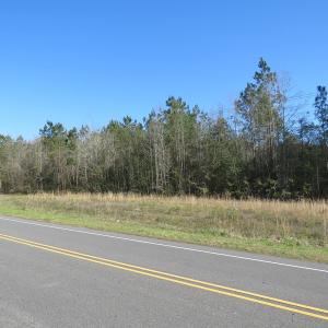 Photo of UNDER CONTRACT!  138 +/- Acres of Farm and Timber Land For Sale in Brunswick County NC!