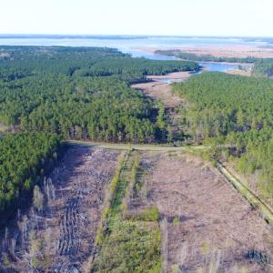 Photo of UNDER CONTRACT!  25.13 Acres of Affordable Clear Cut Timber Land For Sale in Hyde County NC!