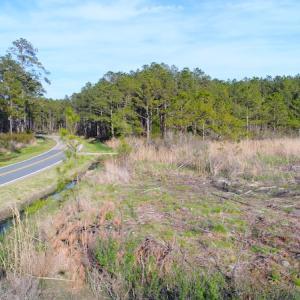 Photo of UNDER CONTRACT!  25.13 Acres of Affordable Clear Cut Timber Land For Sale in Hyde County NC!