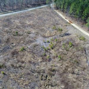 Photo of UNDER CONTRACT!  171 Acres of Timber Land For Sale In Halifax County NC!