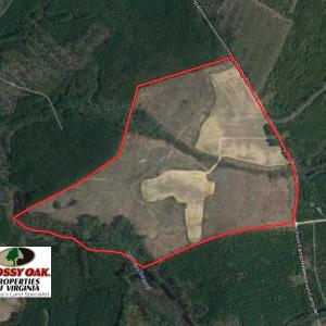 Photo of UNDER CONTRACT!  150 Acres of Farm and Hunting Land For Sale in Sussex County VA!