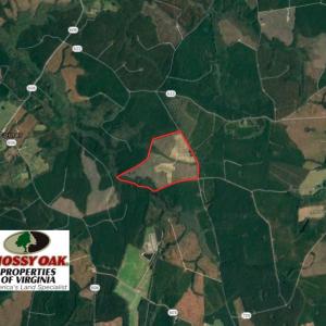 Photo of UNDER CONTRACT!  150 Acres of Farm and Hunting Land For Sale in Sussex County VA!