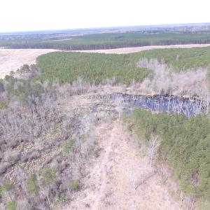 Photo of UNDER CONTRACT!  150 Acres of Farm and Hunting Land For Sale in Sussex County VA!