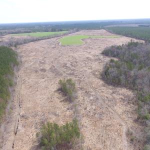 Photo of UNDER CONTRACT!  150 Acres of Farm and Hunting Land For Sale in Sussex County VA!