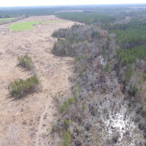 Photo of UNDER CONTRACT!  150 Acres of Farm and Hunting Land For Sale in Sussex County VA!